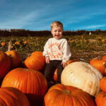 Pumpkin Pick Your Own, Palette and Pasture, Frome, Somerset
